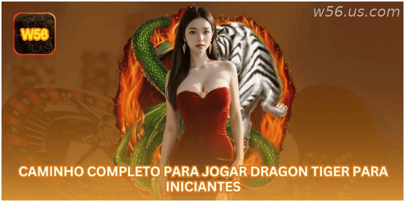 Guia básico para jogar Dragon Tiger para iniciantes.